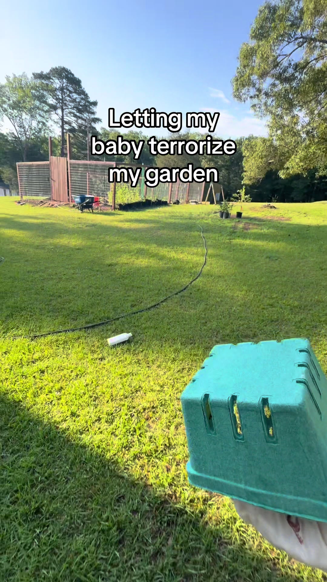 @Kylie | Garden & DIY👩🌾