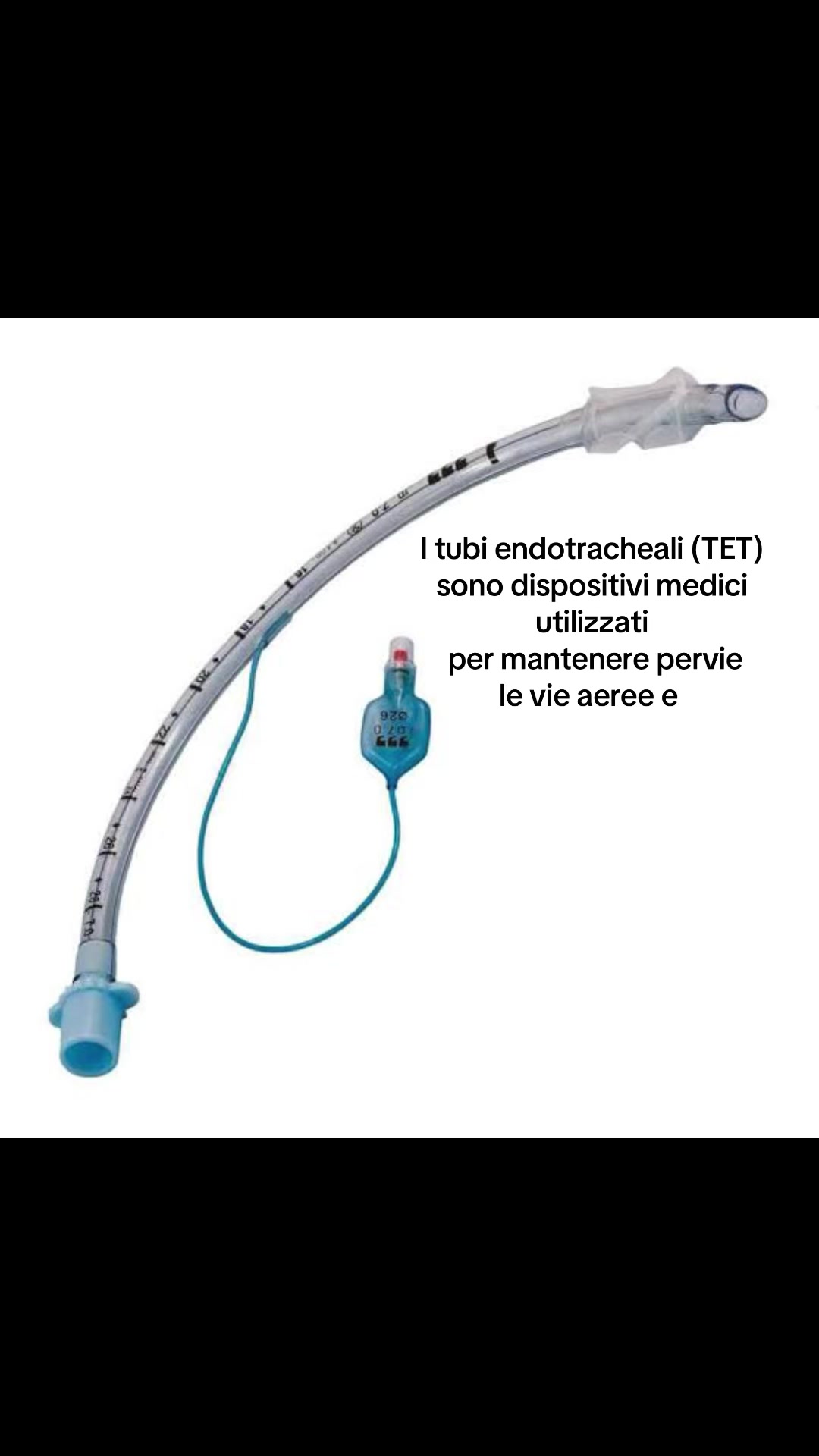 @orthonurse17