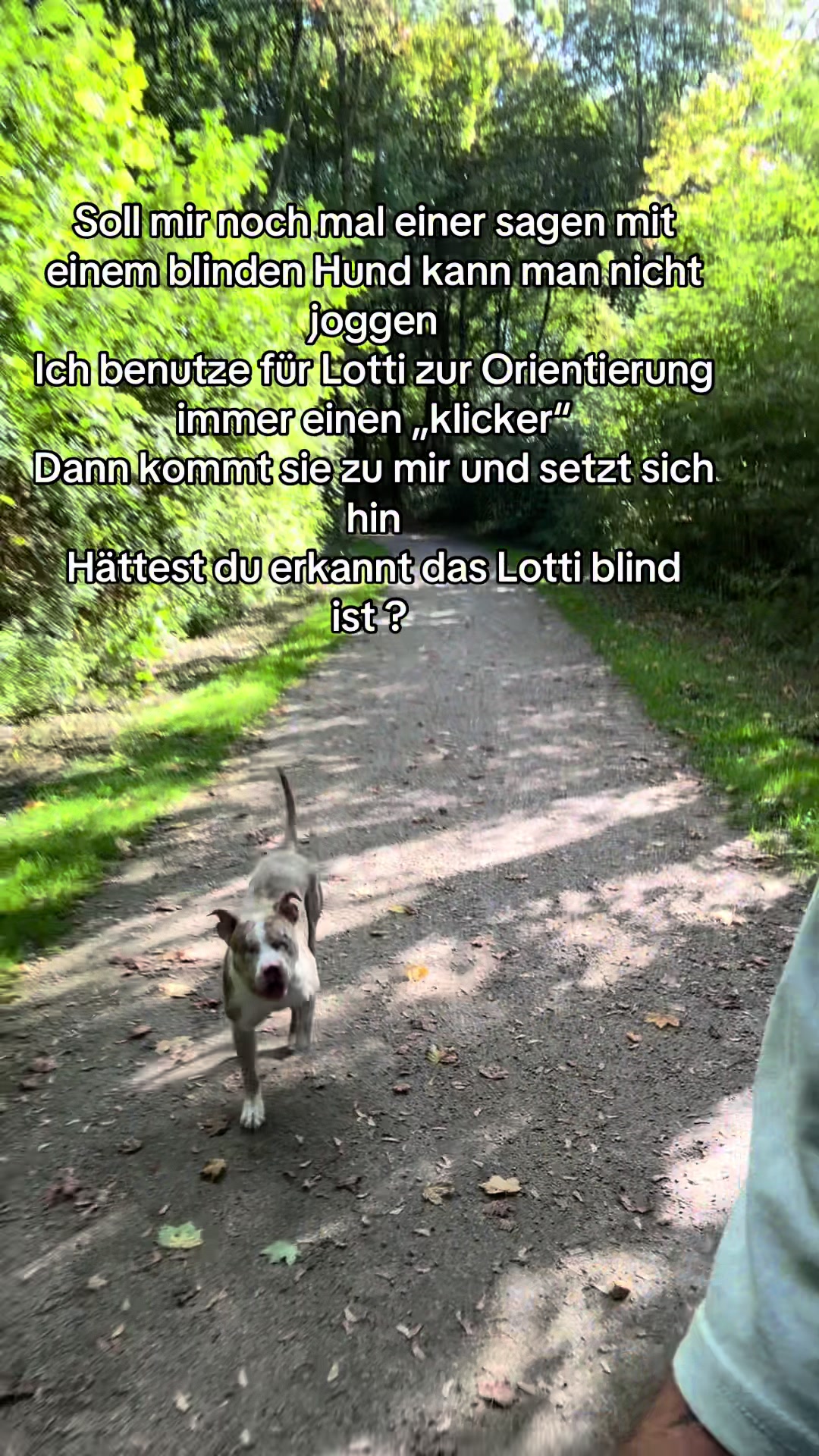 @Martin vom Reiterhof