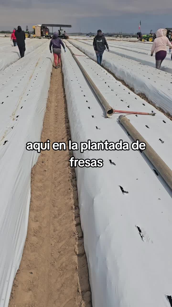 @🇲🇽🐦&zwj;⬛🪺VASQUEZ🚚🌪💎