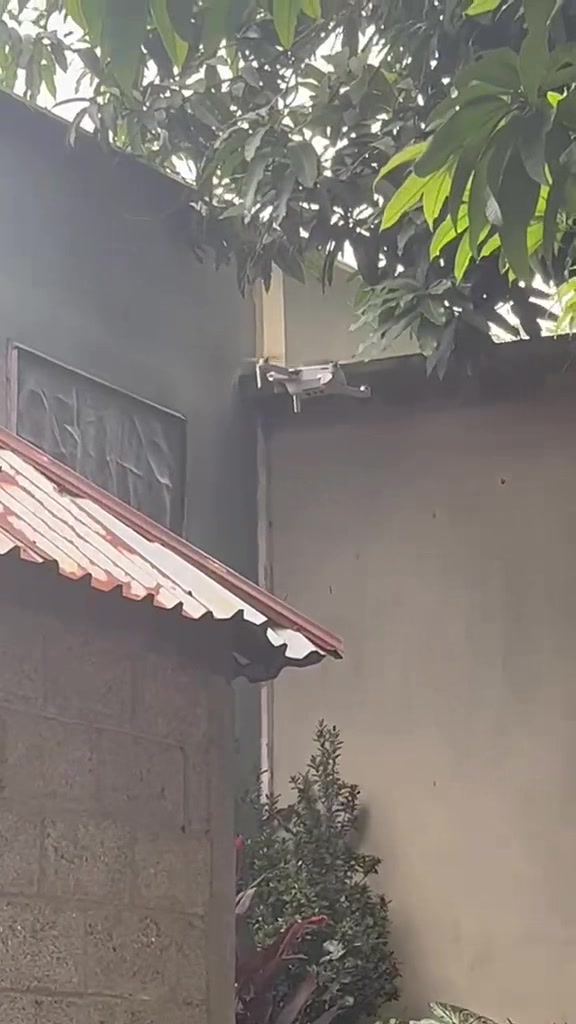 @Hanani M Ortega
