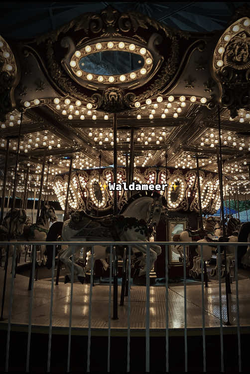 @waldameer_glazer