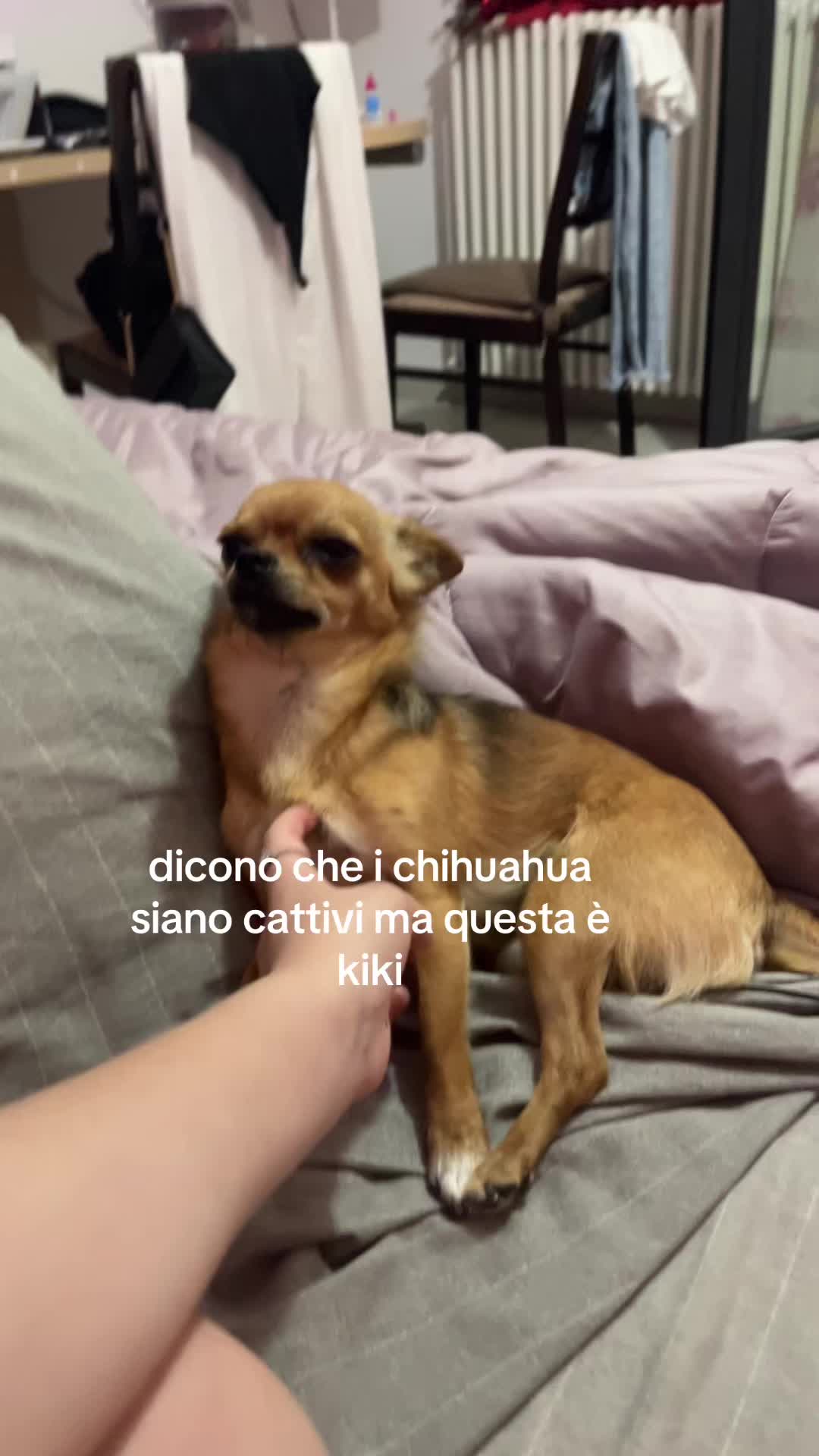 @spambice