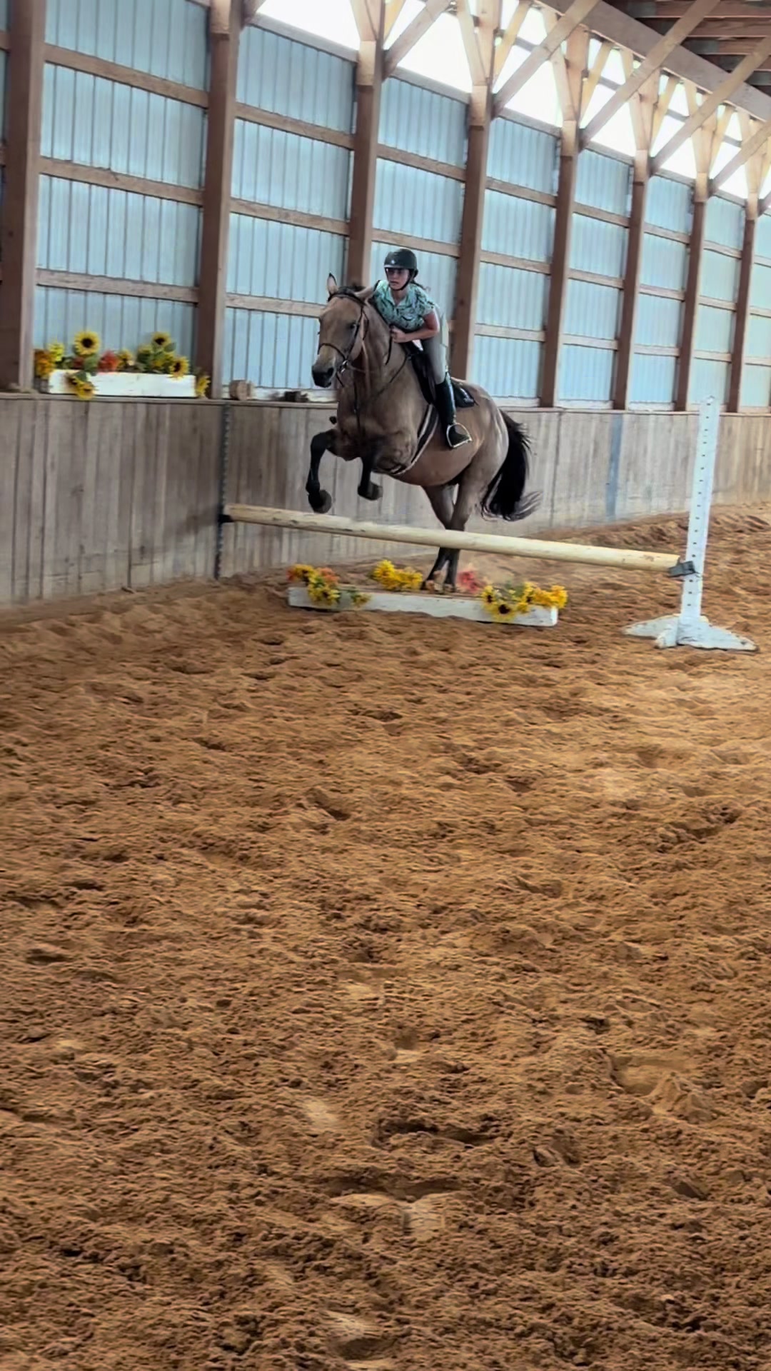 @Aftyn 🐎
