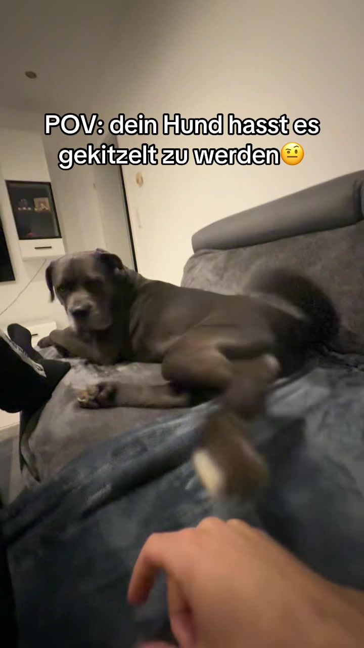 @luca29.7