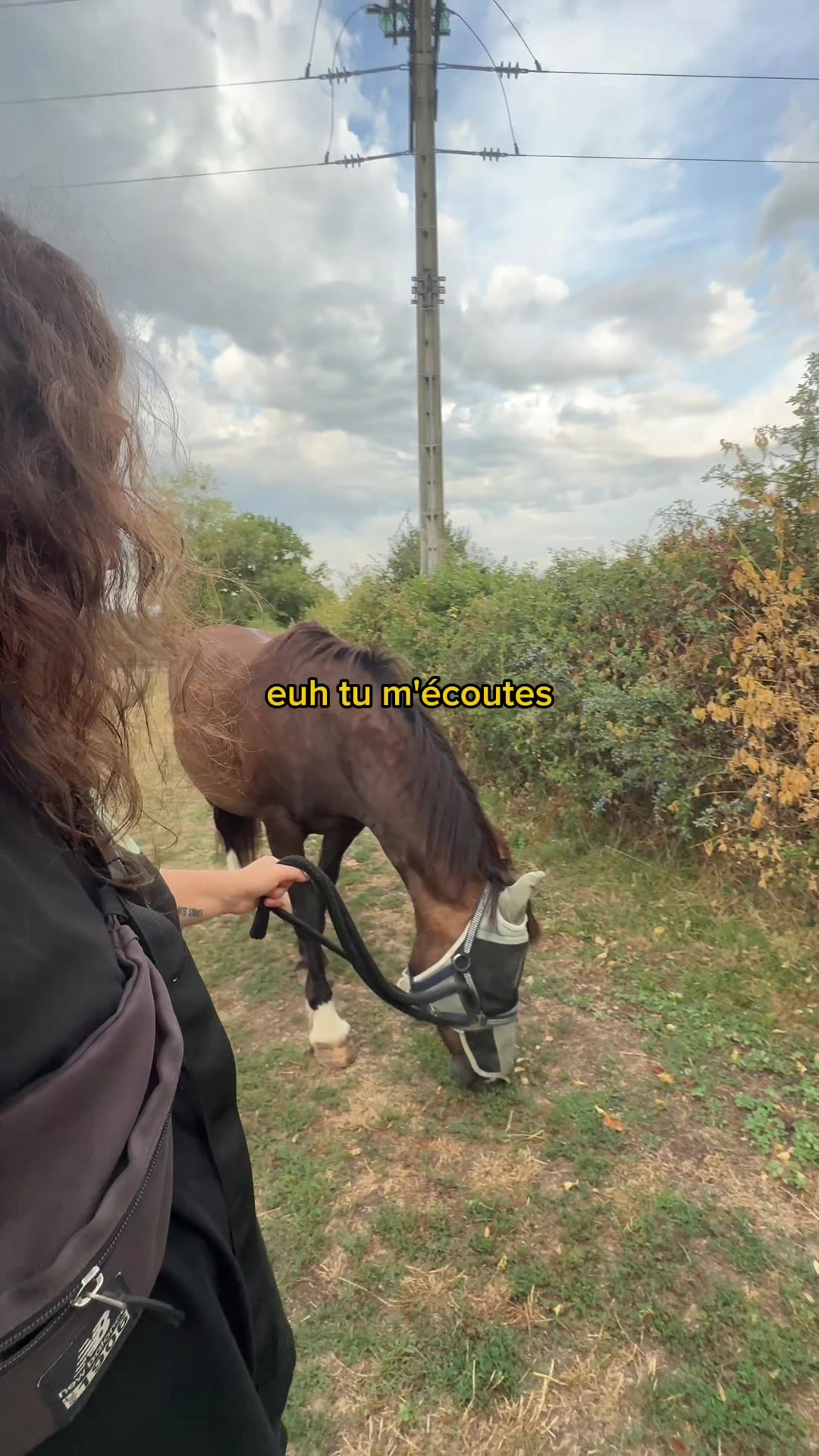 @Seren the pony ๐ด