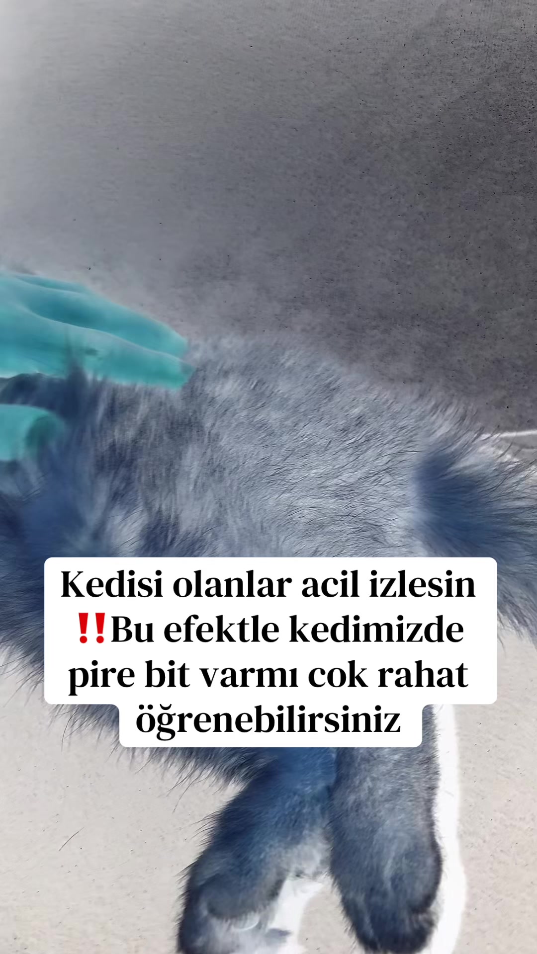 @🧿