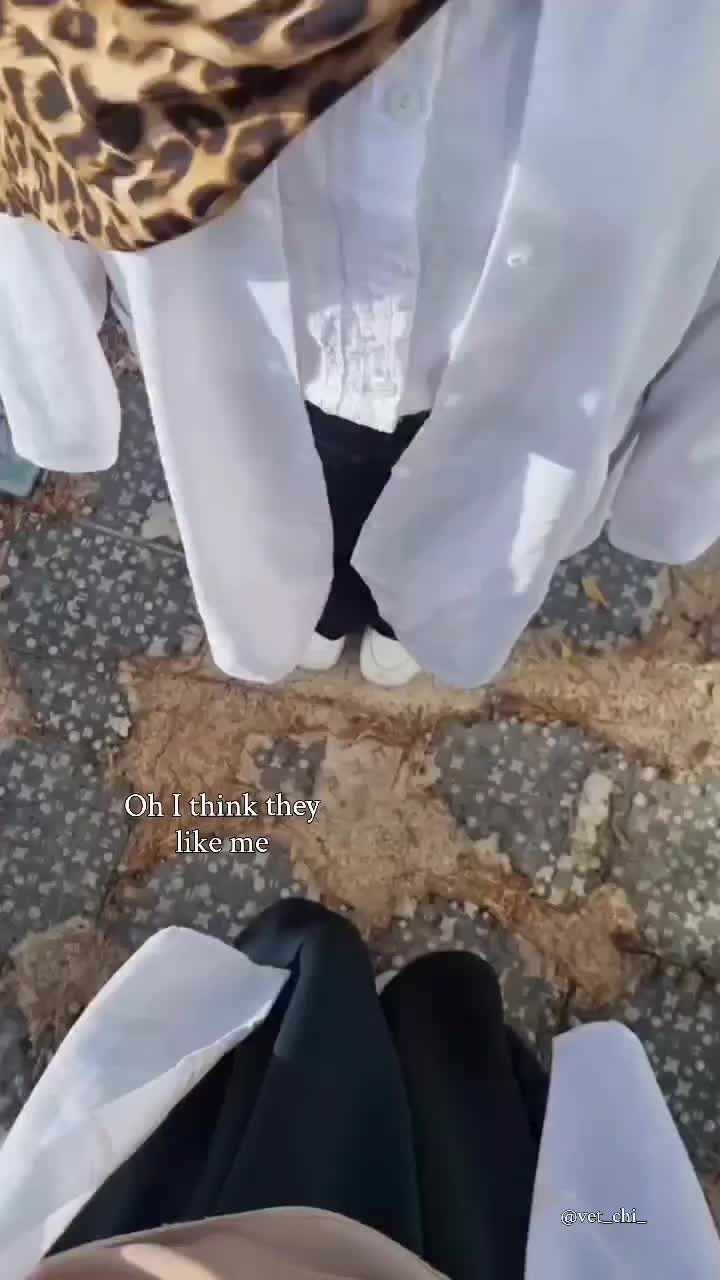 @Chaima Laib