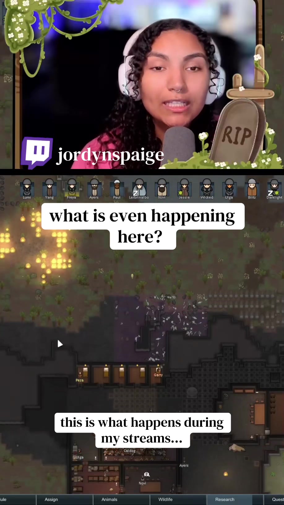 @J 🪄