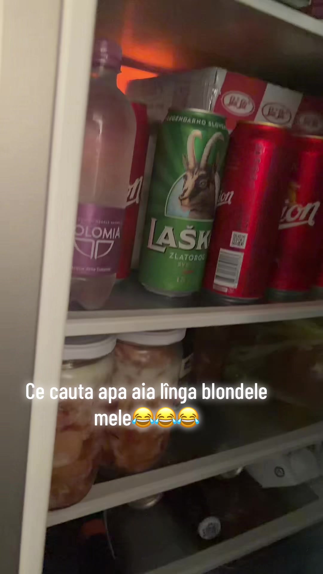 @olgatrifautan