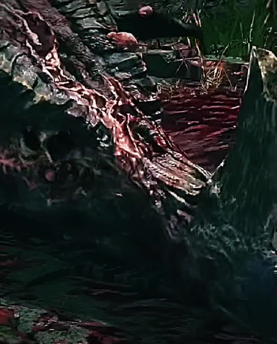 @PlagueyPhD