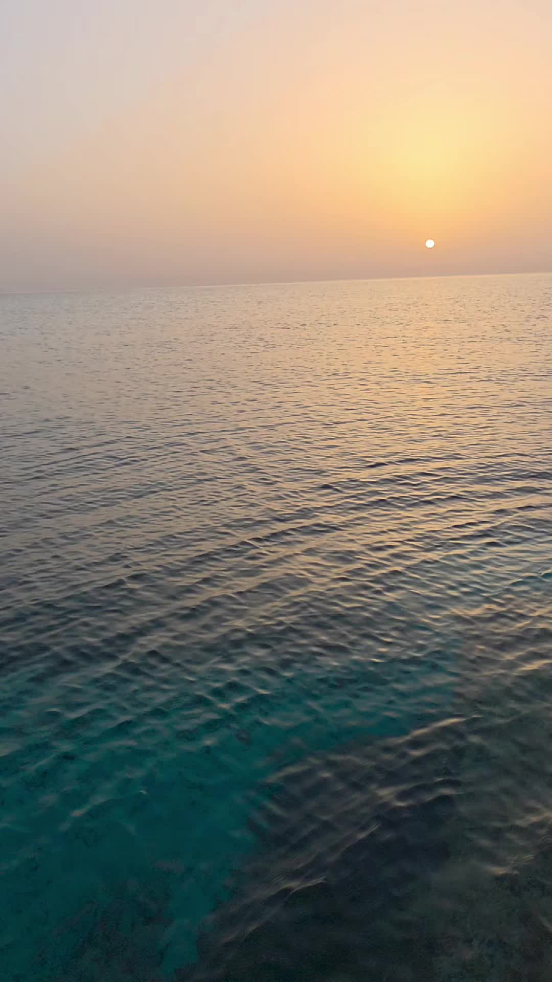 @Salvocaruso