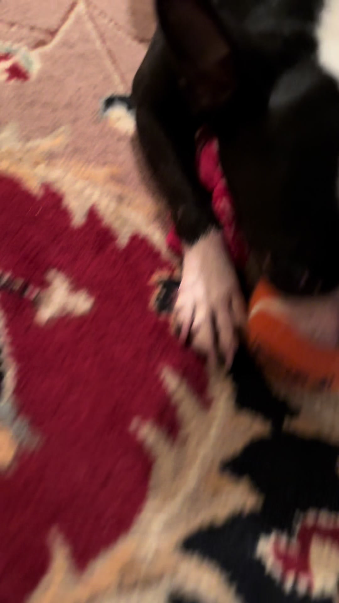@Bella