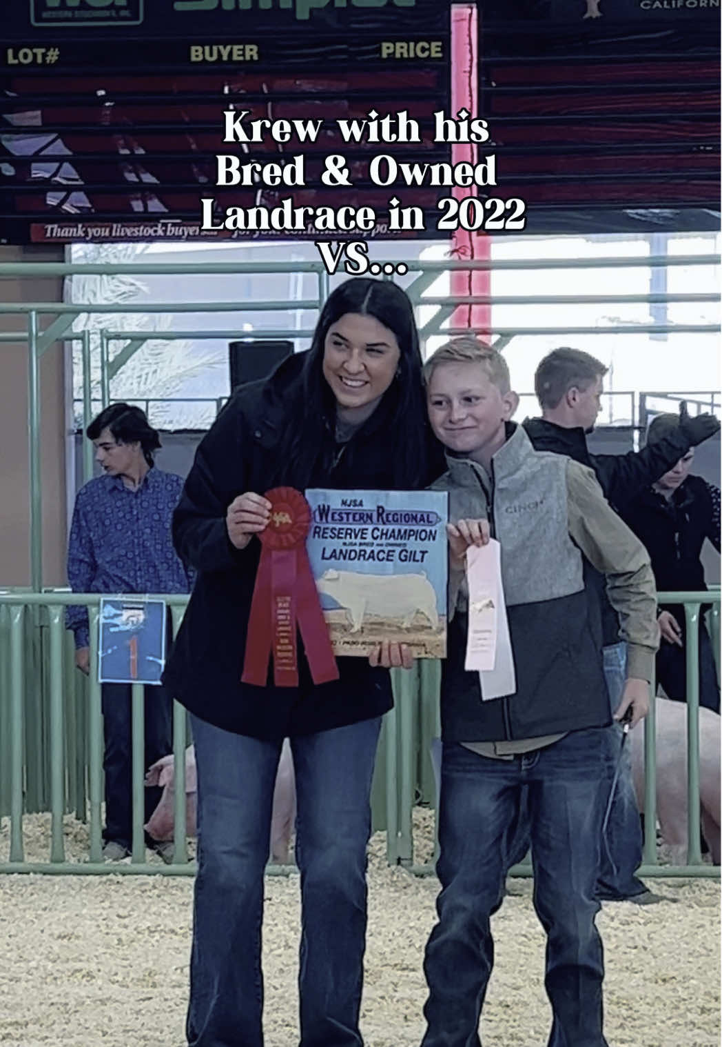 @Dadson Farms Show Pigs