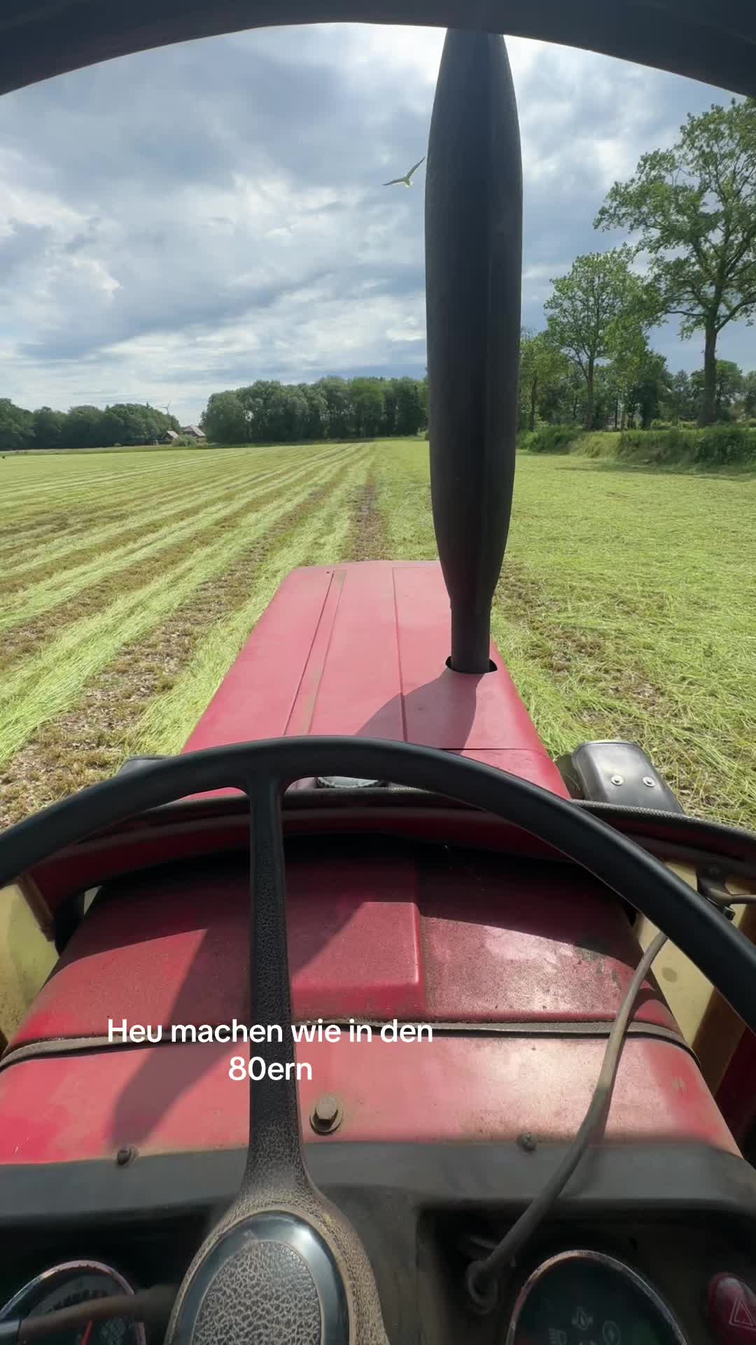 @Puchmaxiheemke