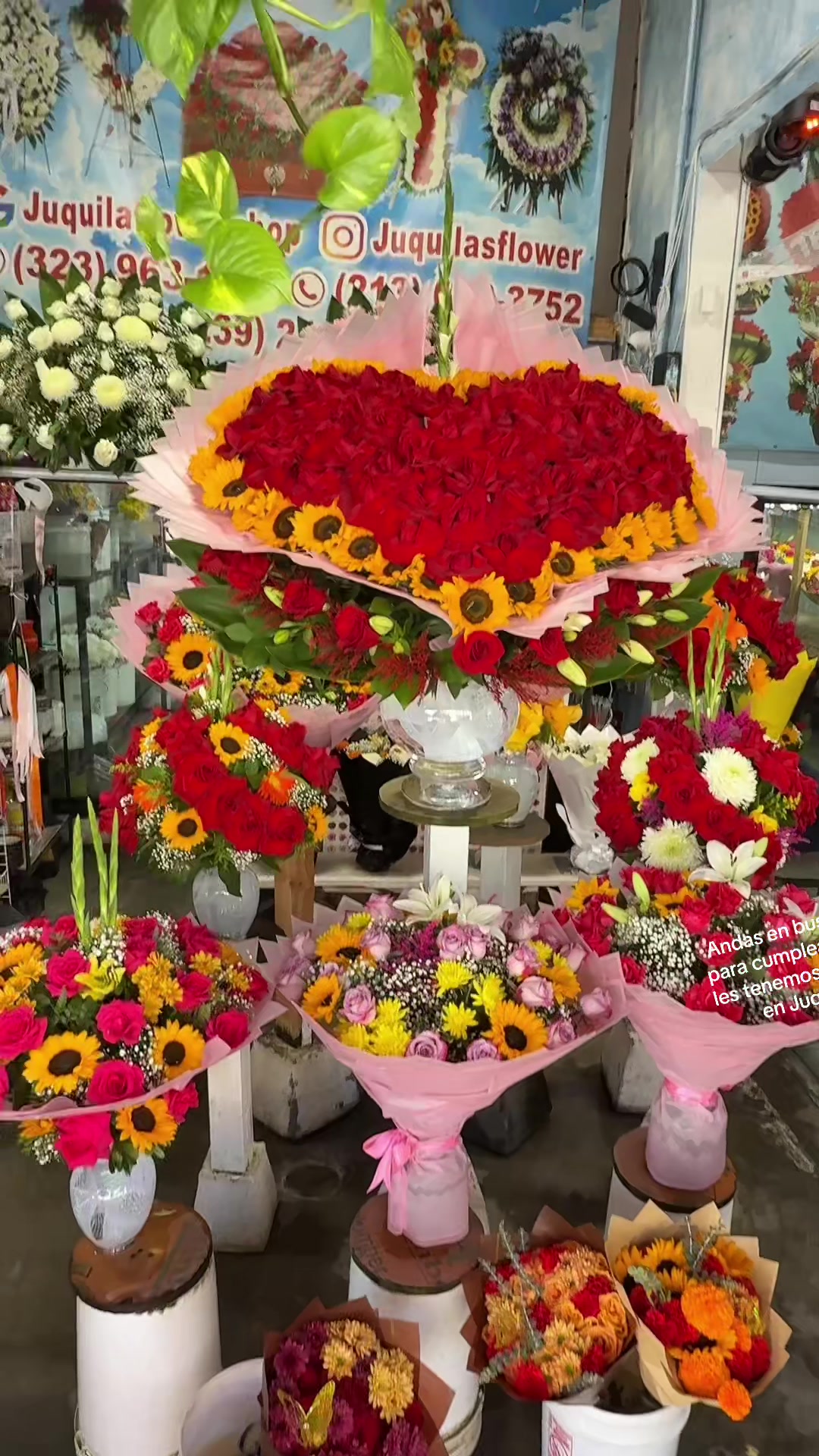 @Clari Velasquez ☘️🌹🌻🍒