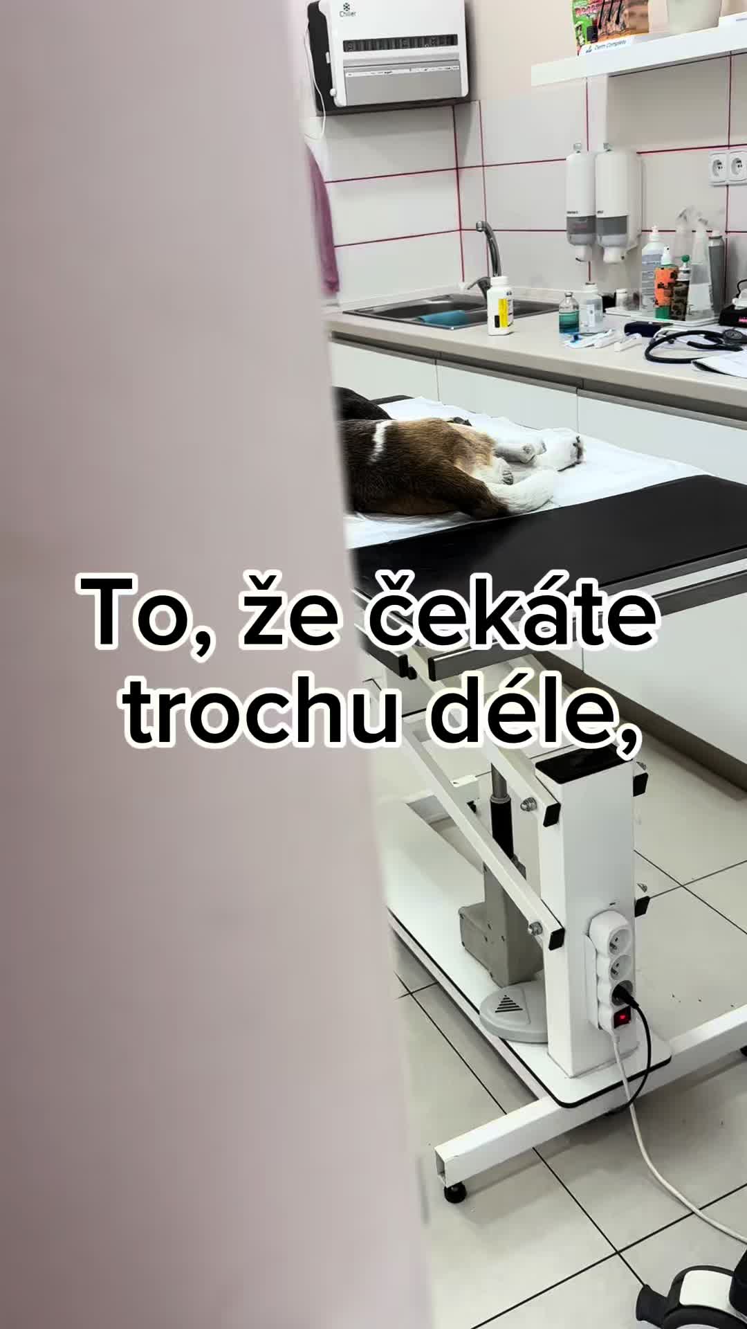 @Náš veterinář