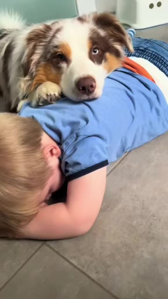 @Mylo_wird_zum_Assistenzhund