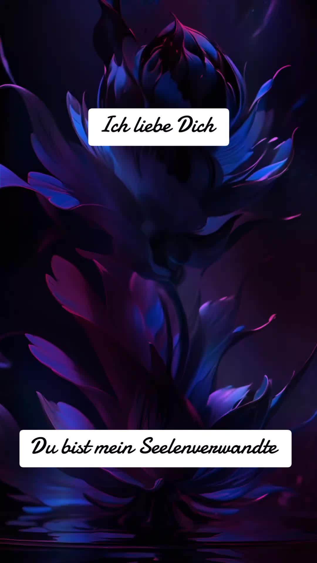 @🖤𝓑𝓵𝓪𝓬𝓴🖤𝓦𝓲𝓭𝓸𝔀🖤