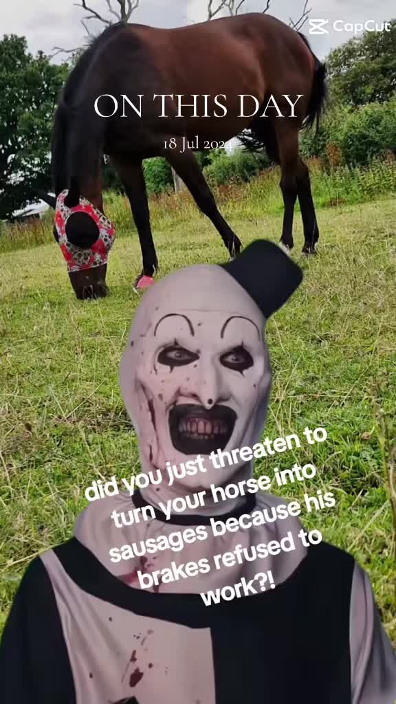 @WanderingWithWoody