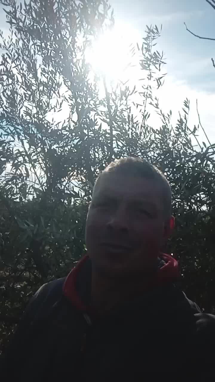 @Dumitru Relu677
