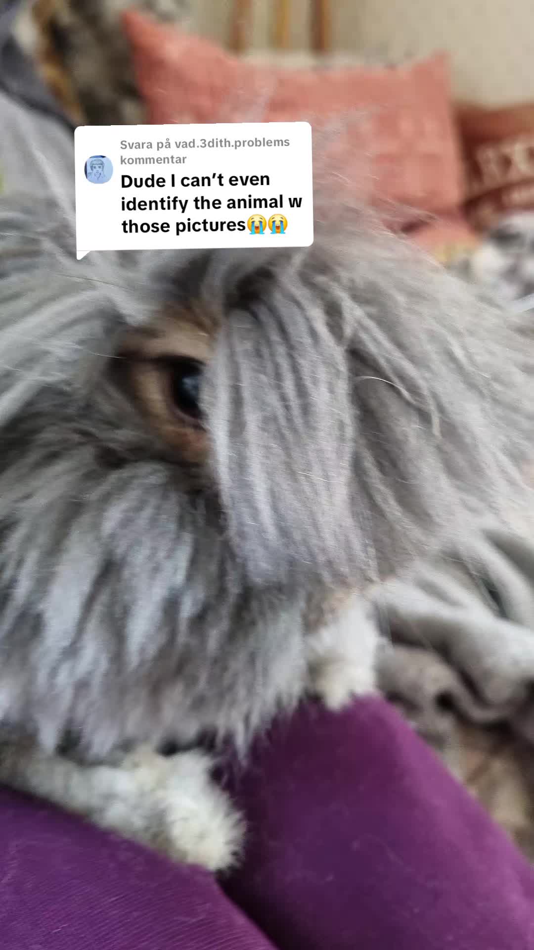 @JiffyPancake