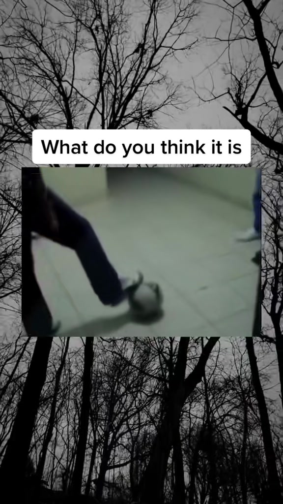 @SCARYVIDEOS