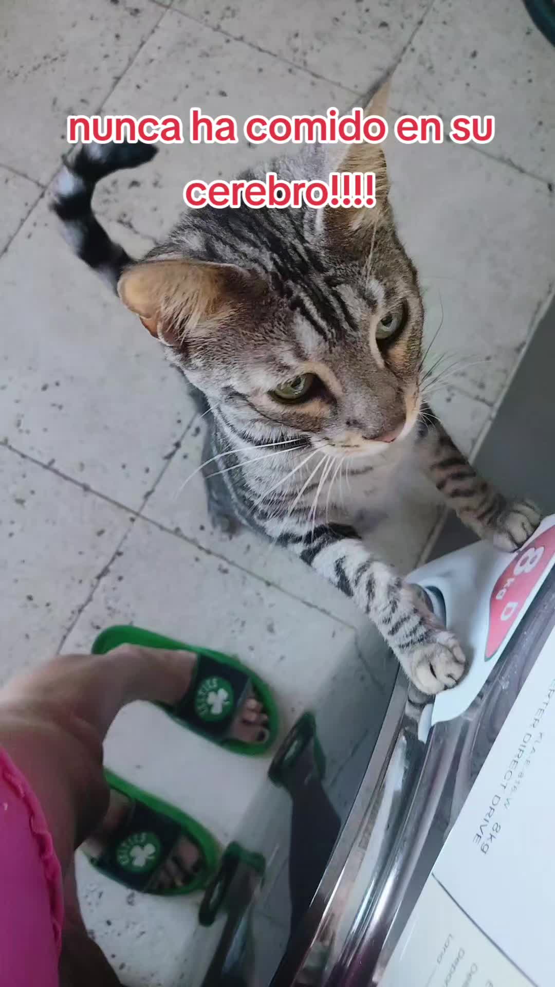 @Sra.Gato