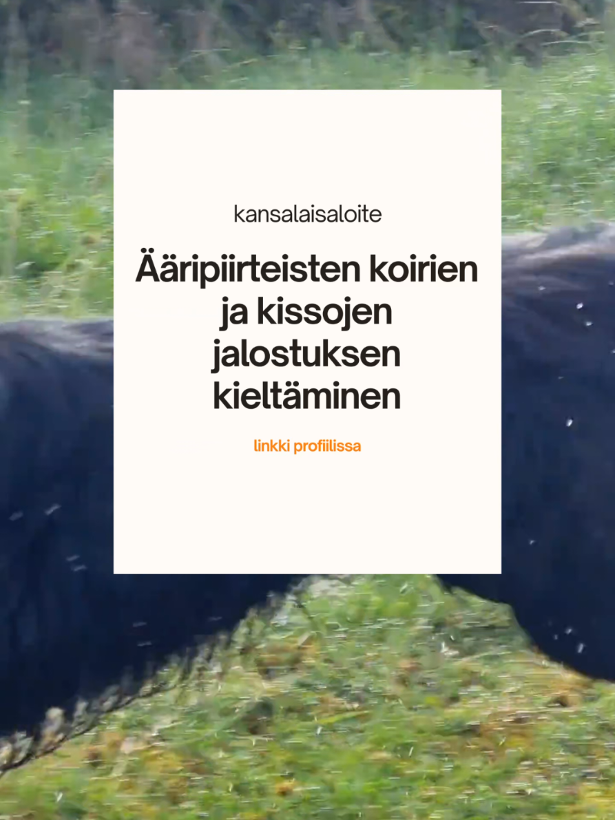 @Kaisa | koirien puolella đ¶