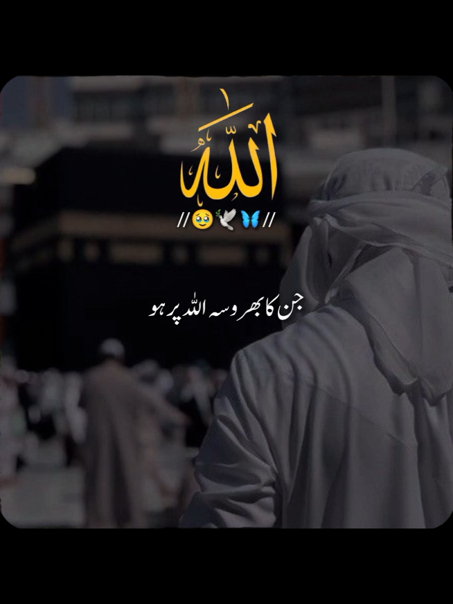 @✨Shahbaz-edit✨