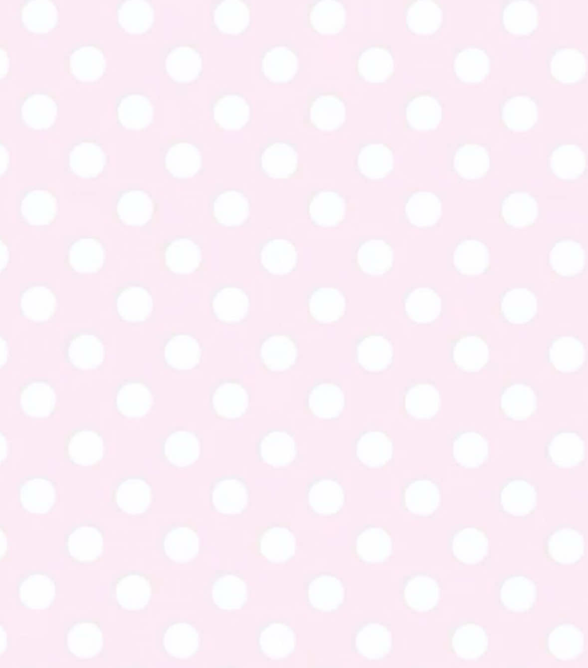 @꒰ঌ໒꒱ ˚₊ ℳ𝒾𝓈ℴ ₊˚🪽ෆ
