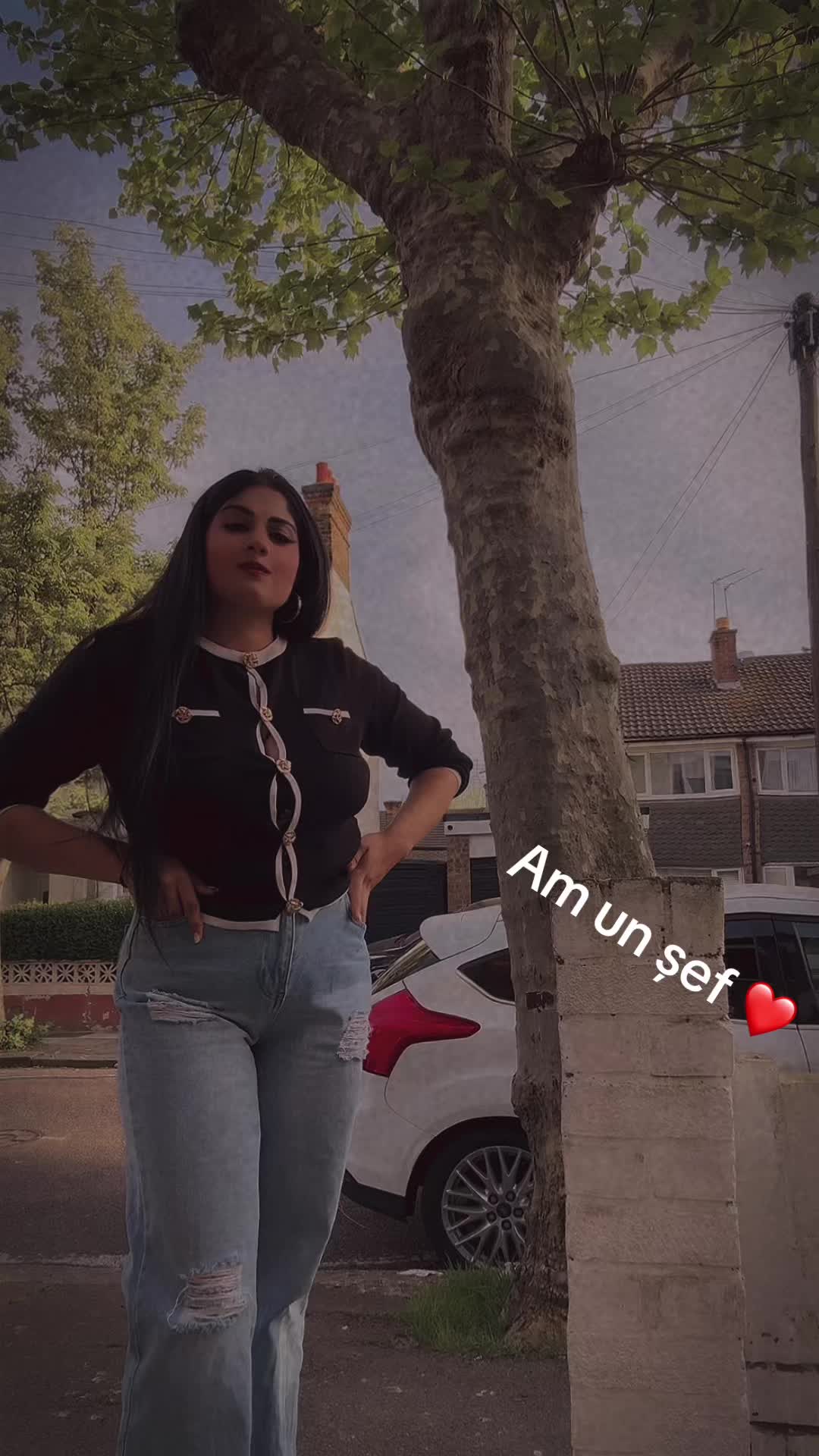 @loredanaluis