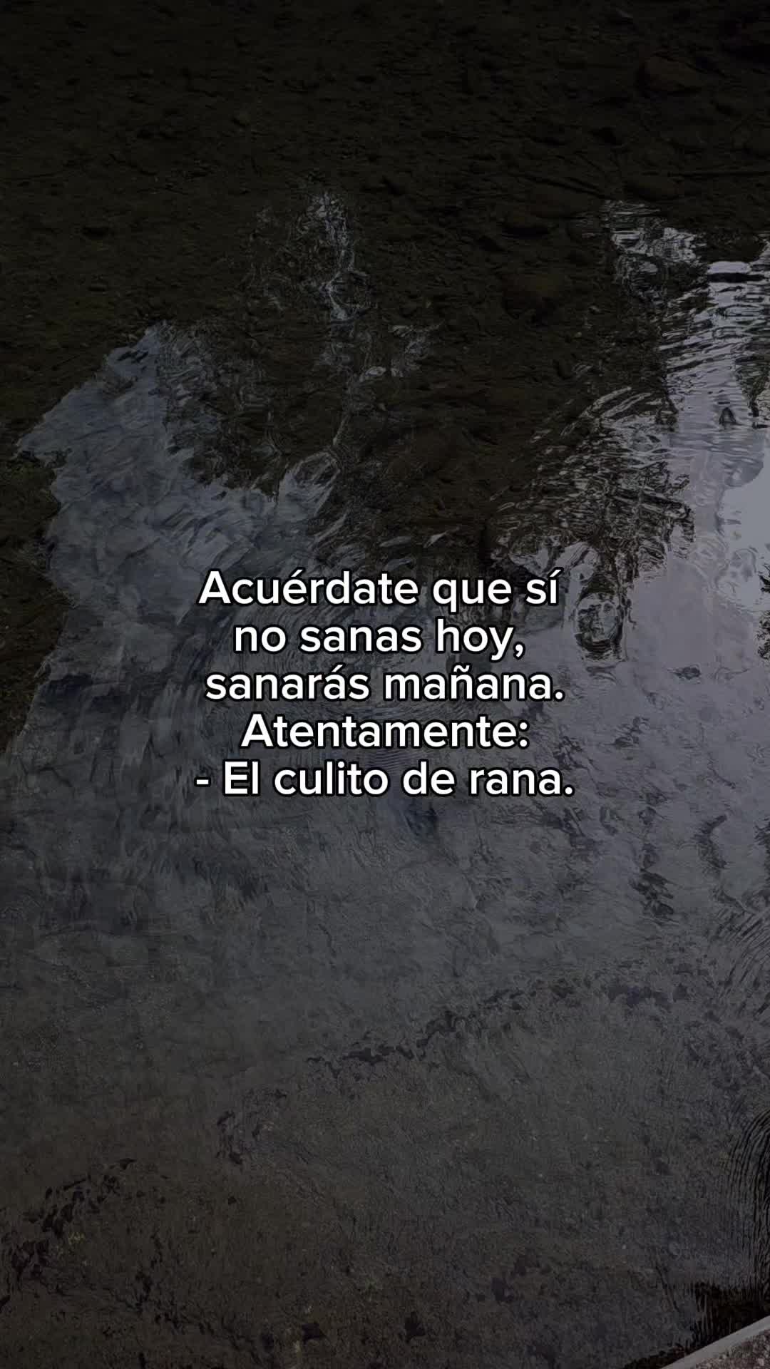 @David Quintanilla Lino
