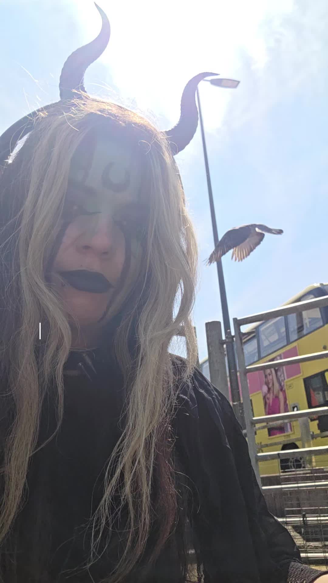 @S.Char.The.Pigeon.Lady🌙🖤Xx