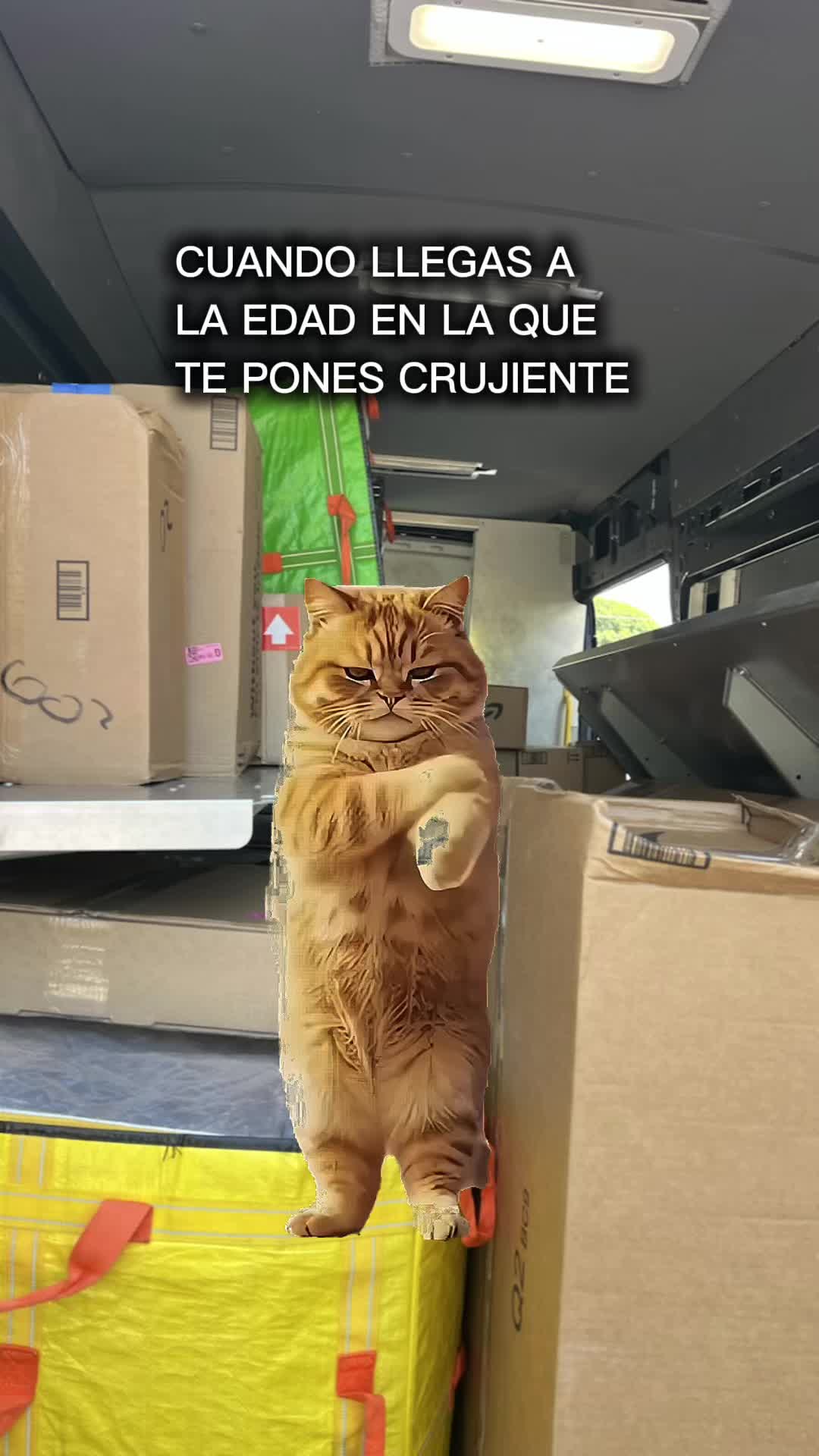 @Lescas