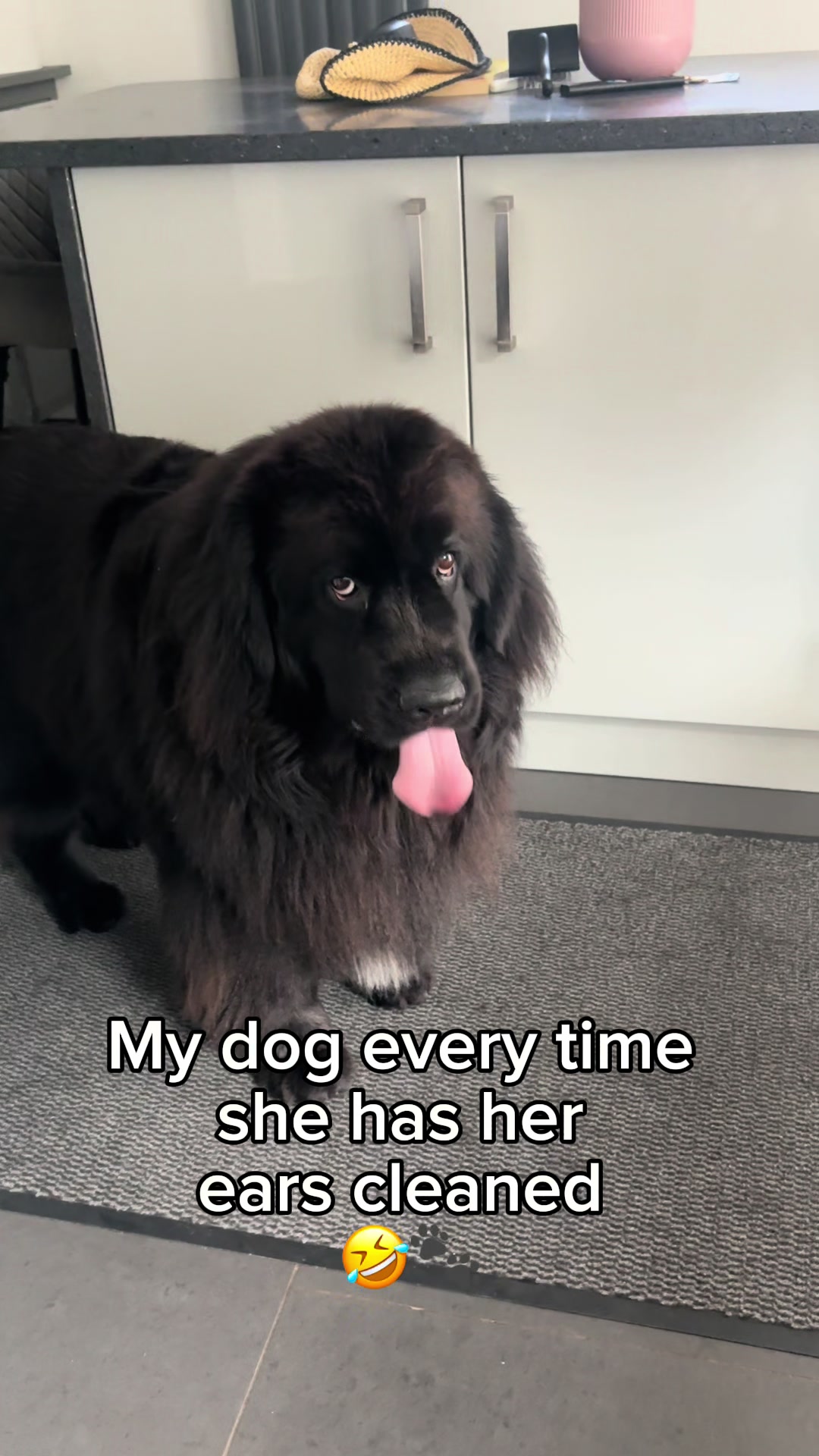 @Newfypups