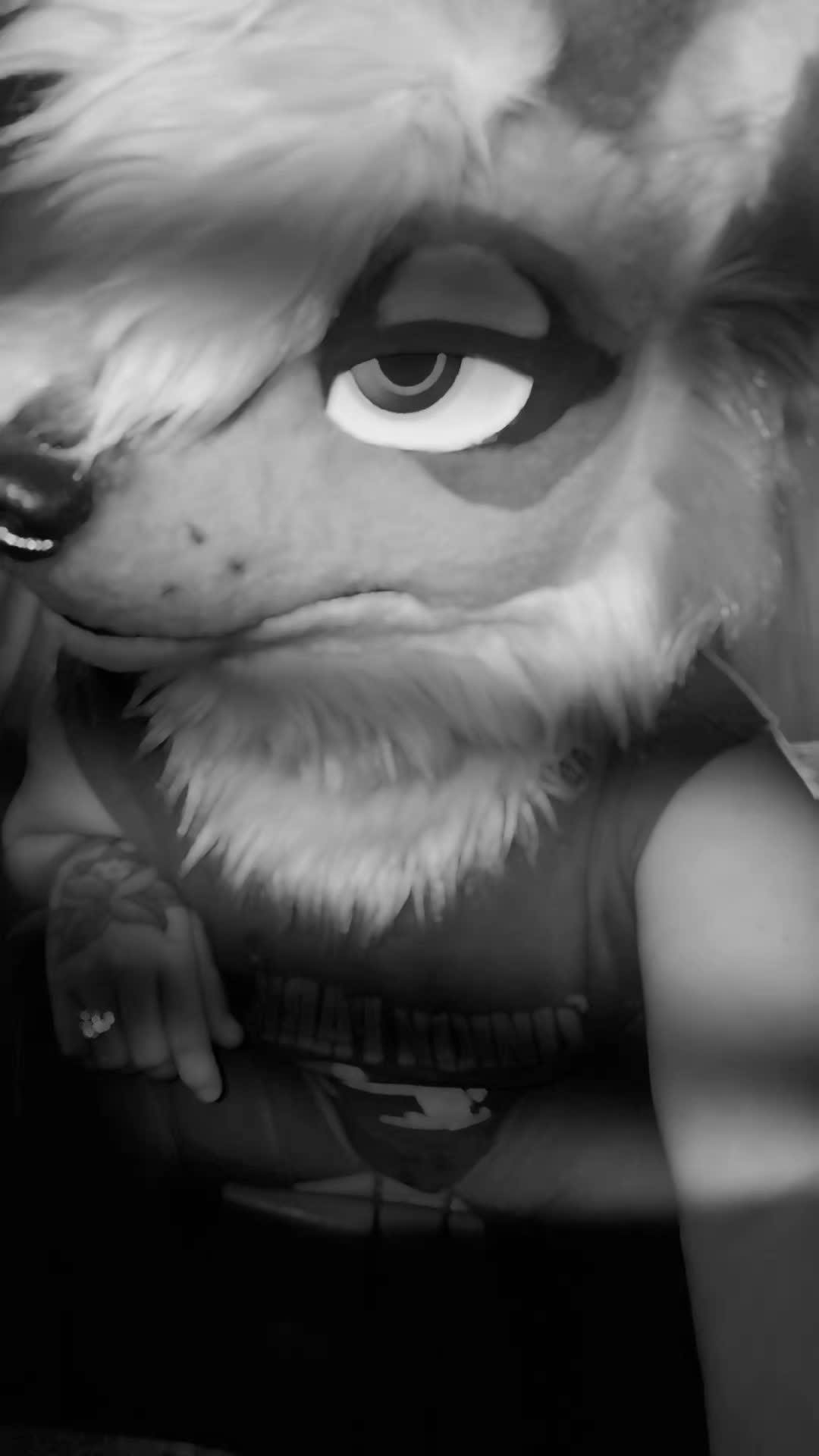 @Fen