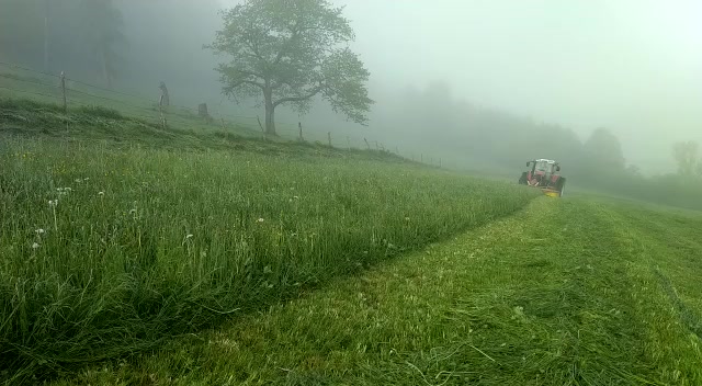 @landwirt_manuel