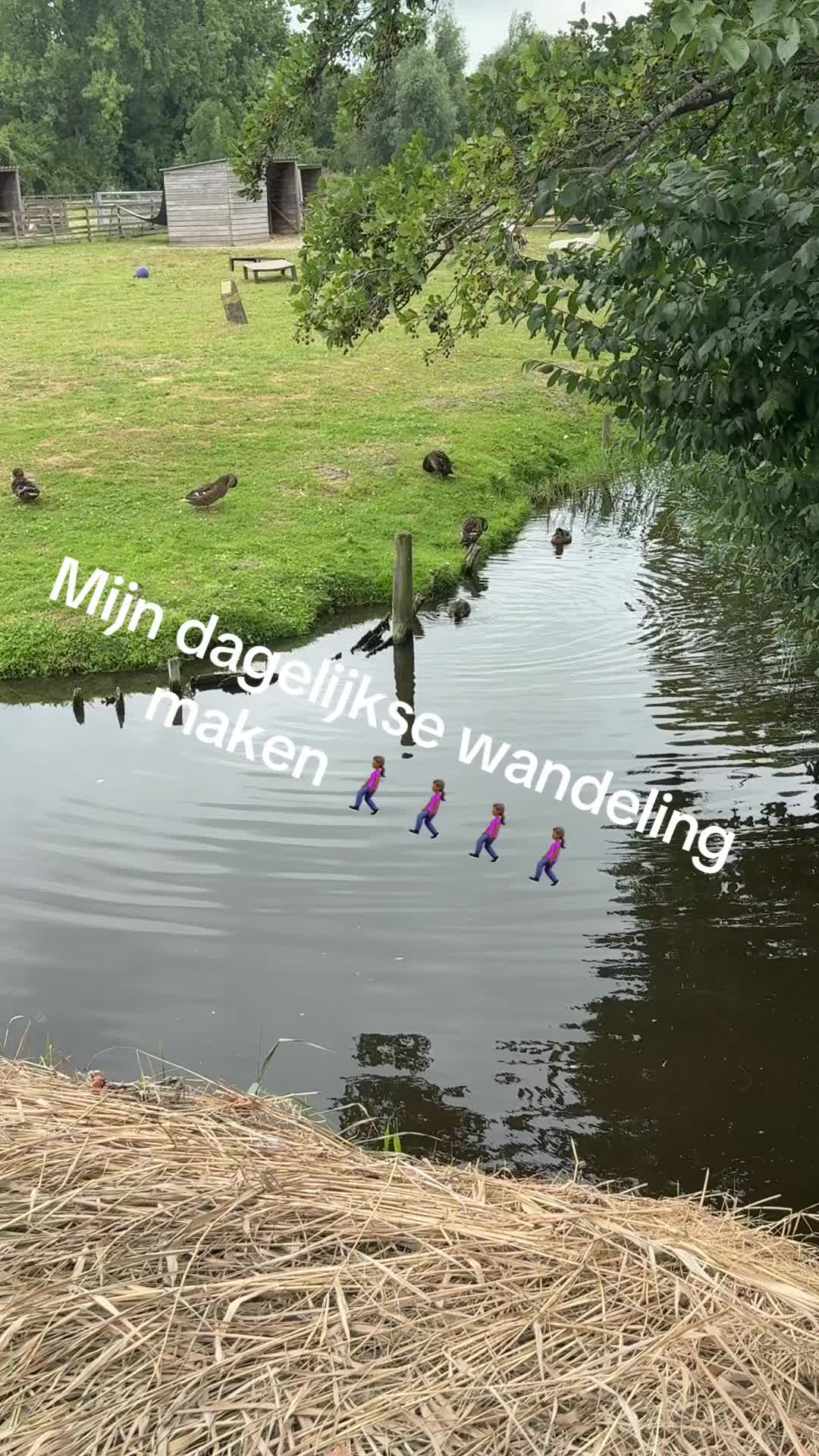 @Mama-sophia1984🇨🇻🇮🇩🇳🇱
