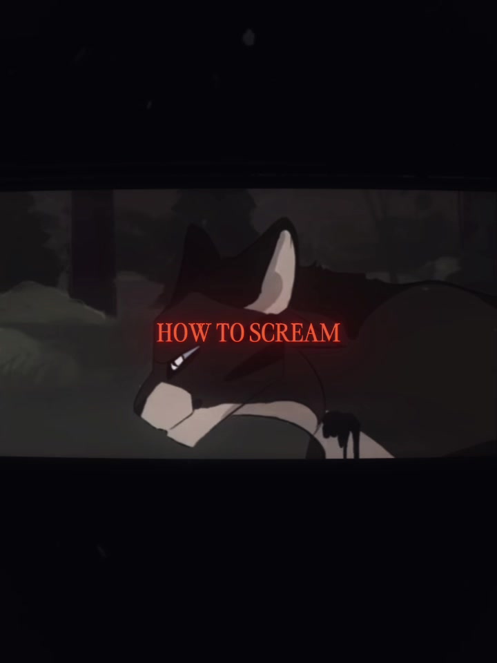 @𝐖𝐚𝐫𝐫𝐢𝐨𝐫 𝐜𝐚𝐭𝐬🐈🐈⬛
