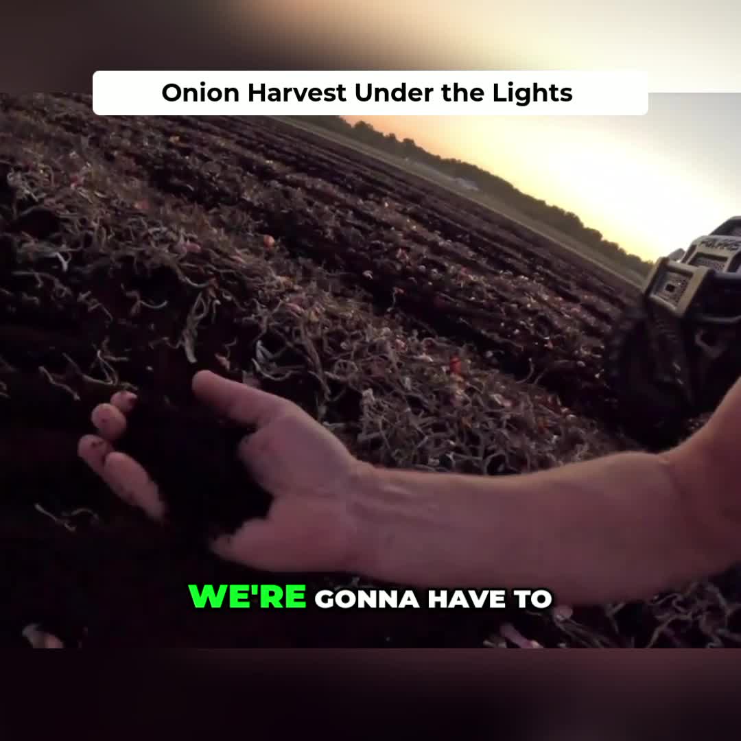 @Kip Siegler Farming