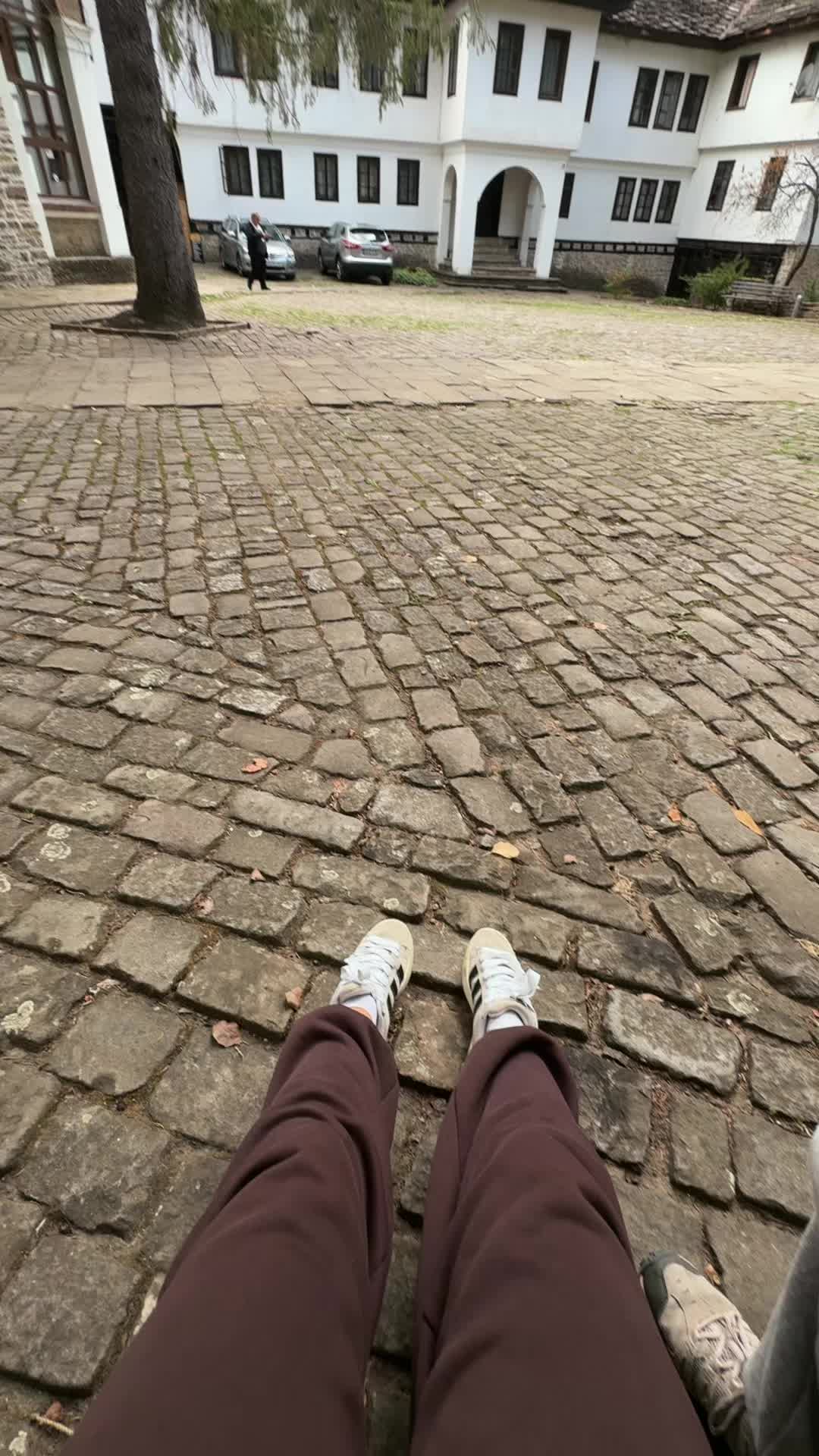 @viktorovaralitza