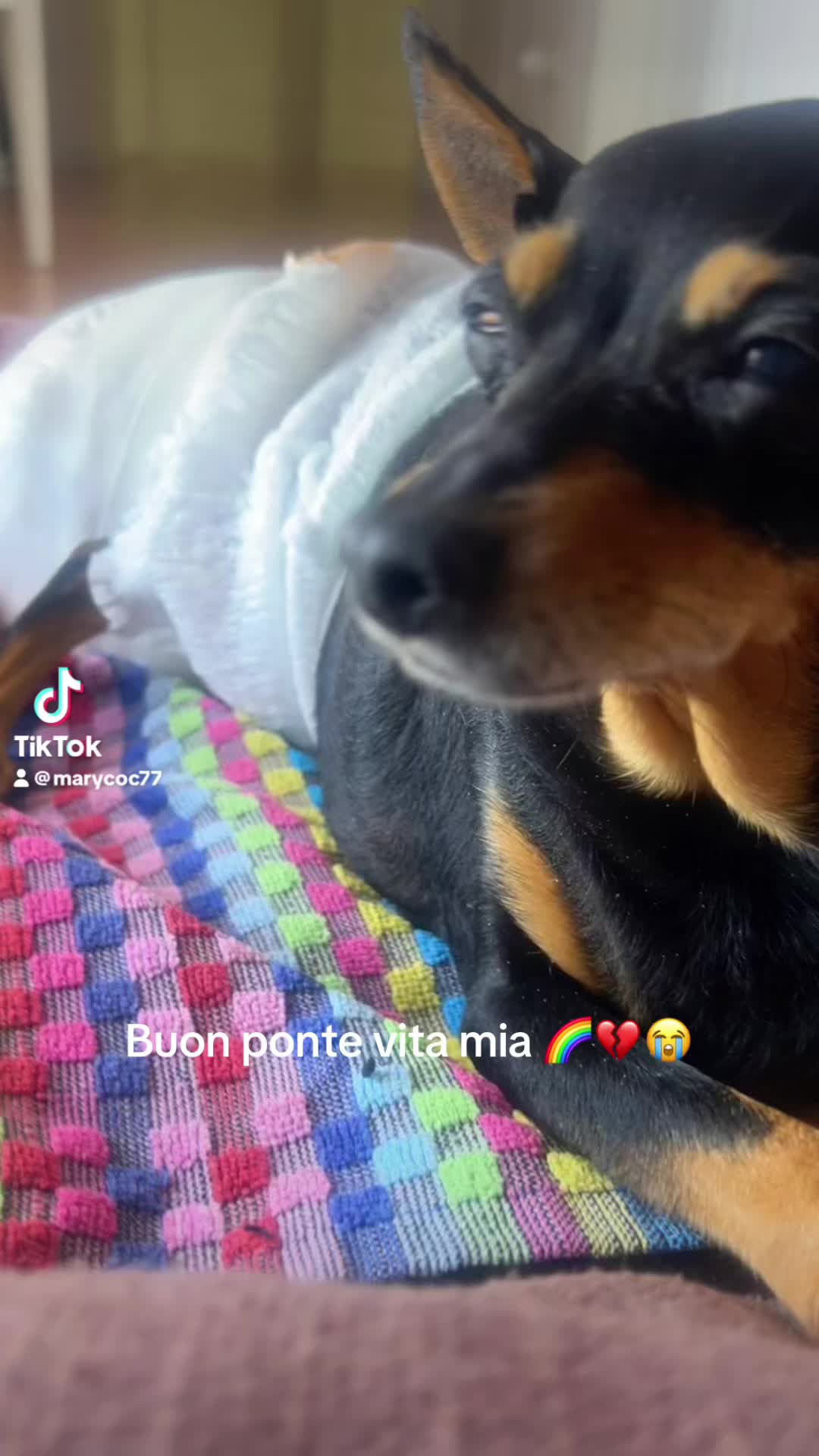 @Maria Grazia
