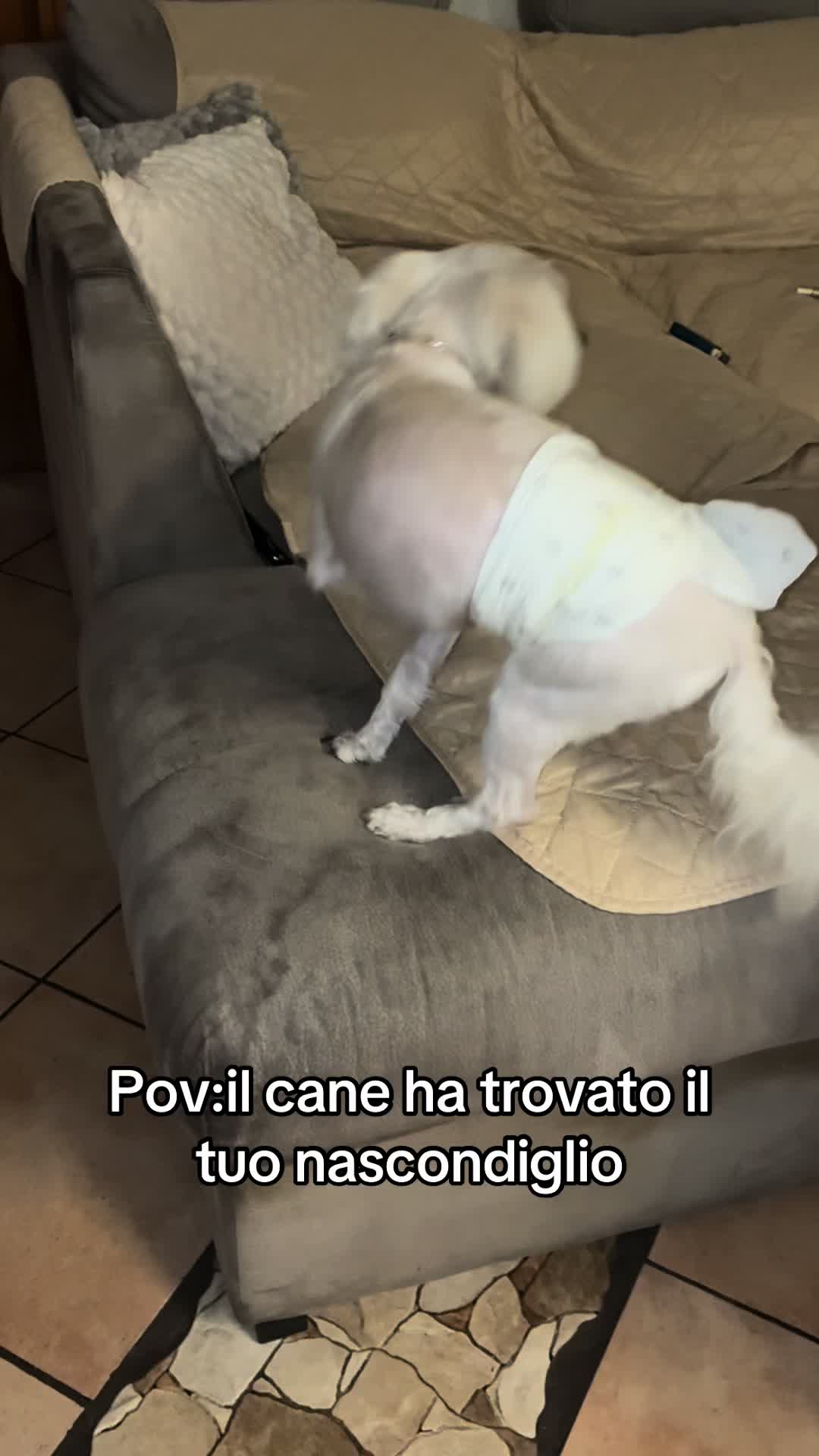 @Alessia_____7