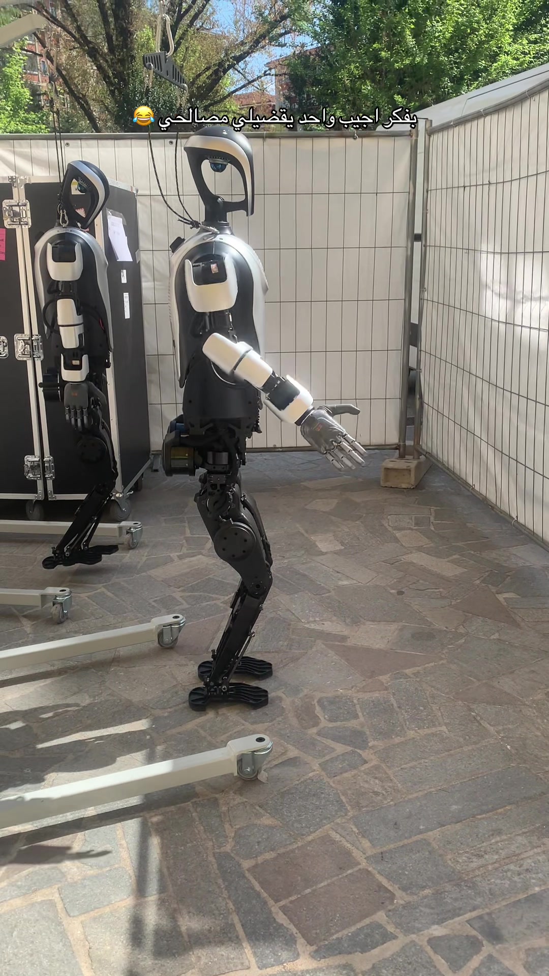 @𓆩𝅘𝅥𝅰࿆𓀎🤴෴⎽l͠⎽ɺᓄ҉⎽ɺȊ𓀎ཽ𝅘𝅥𝅰࿆