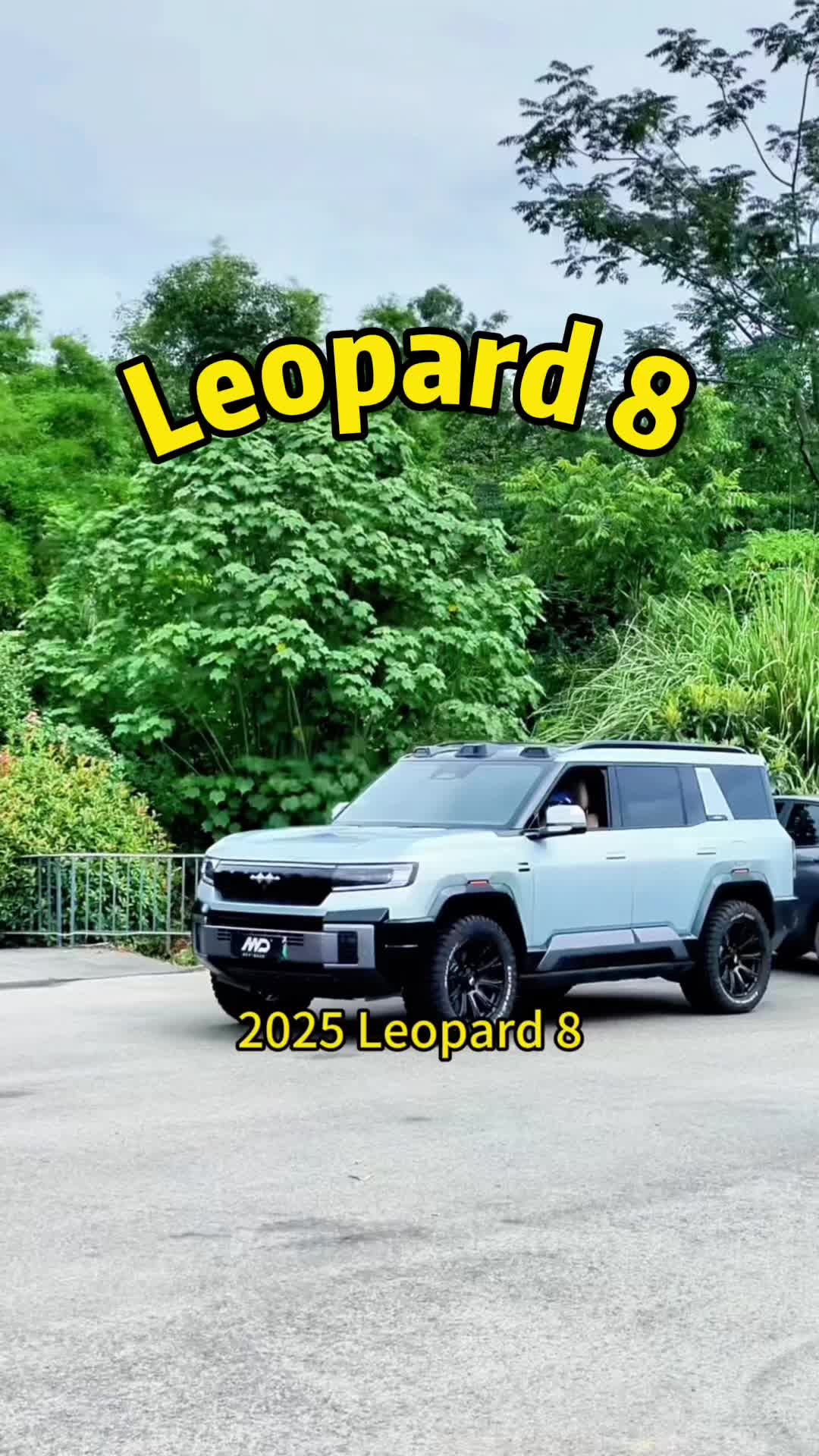@revopanda_auto_china