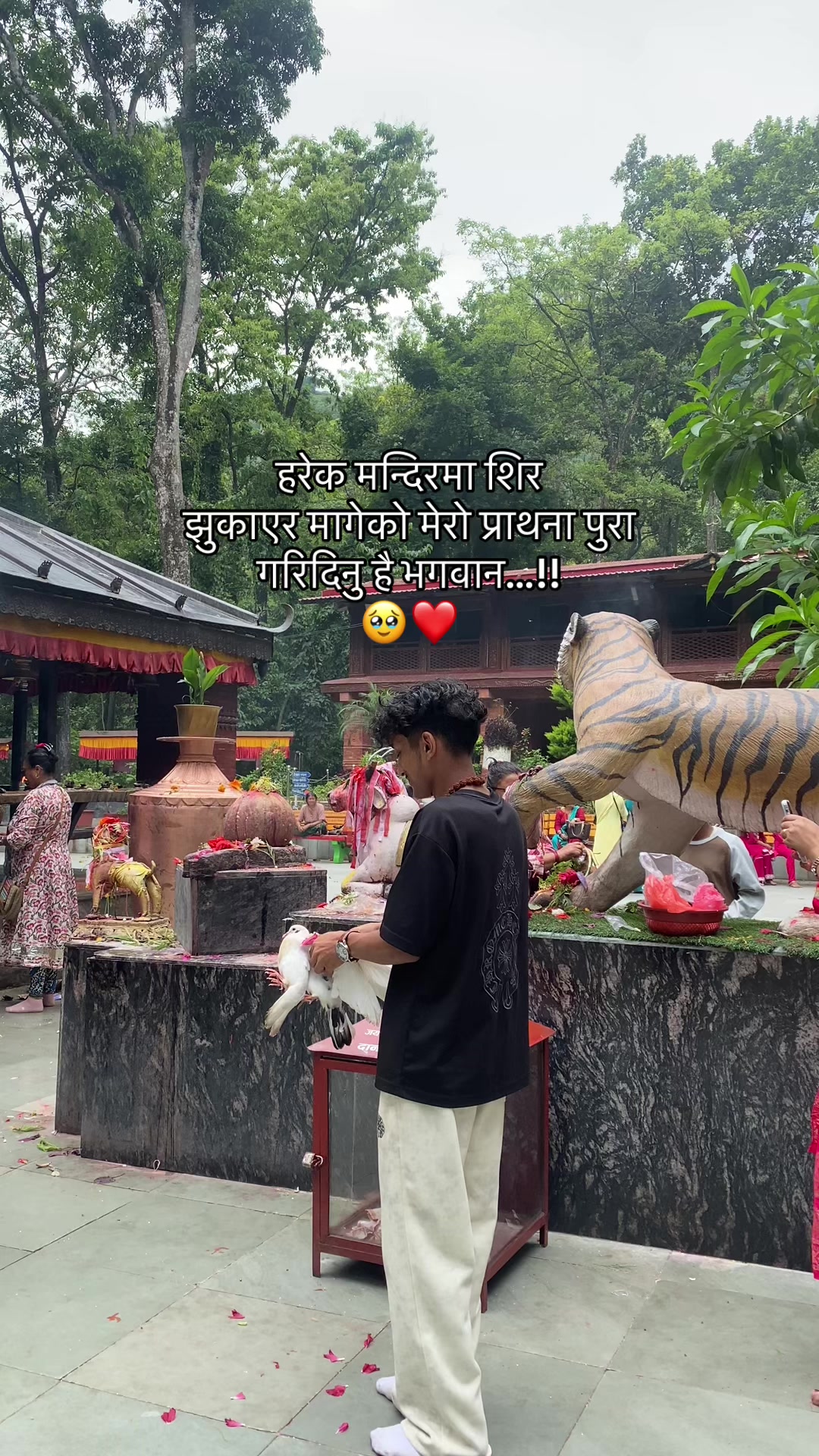@Mr_ Chhetri🇳🇵