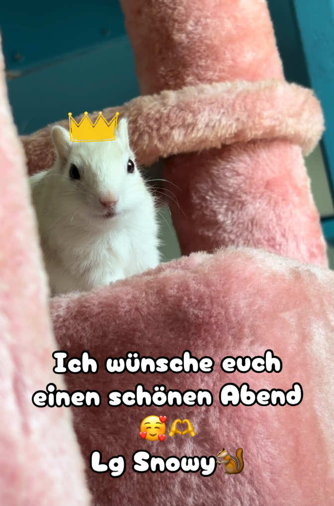 @Jenny&Skippi🐿️ TeamV🐿️u🦔🏰