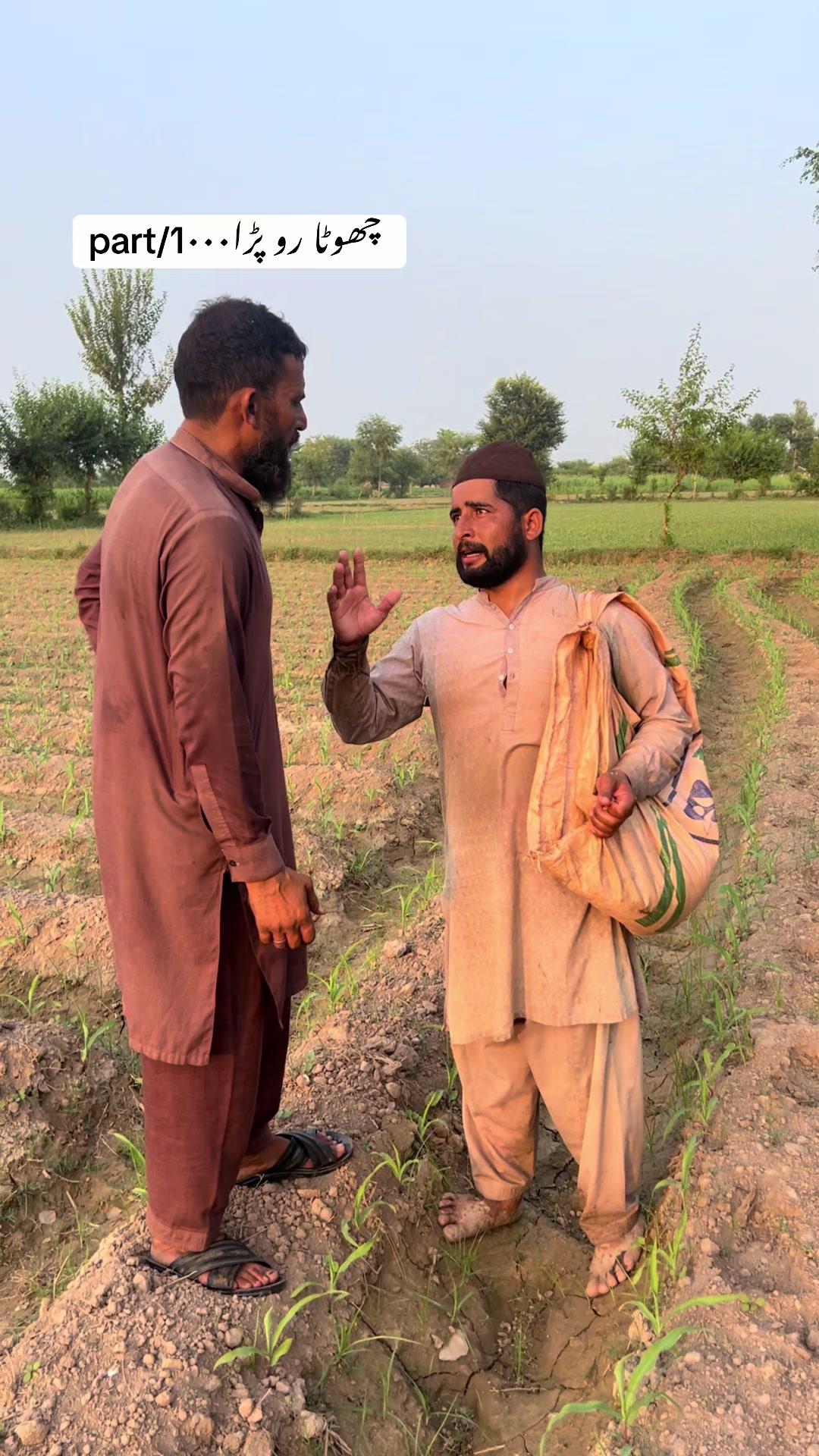 @پینڈو بوائز 378