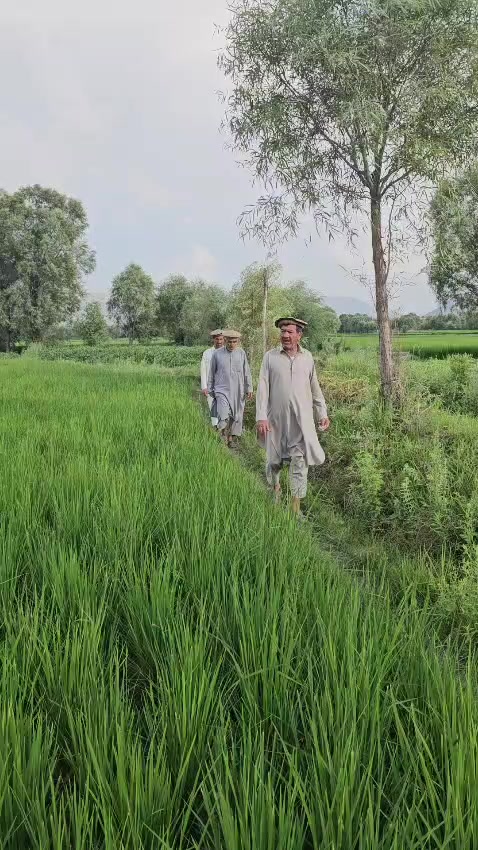 @Manawar Hussain
